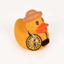 Wildlife Duck